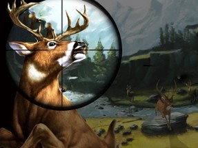 Deer Hunter Image