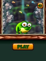 Frog Hop Run Image