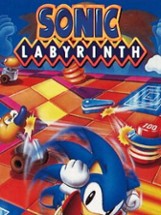 Sonic Labyrinth Image