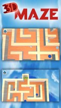 3D Wooden Classic Labyrinth  Maze Games with traps Image