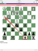 Capablanca - Chess Champion Image