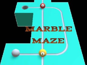 Marble Maze Image