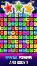 Puzzle Cat - Animal Poping Game Image