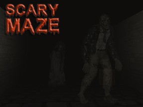 Scary Maze 3D Image