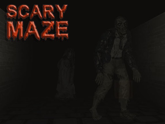 Scary Maze 3D Game Cover