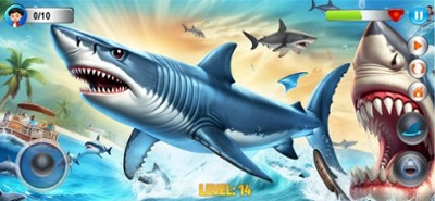 Angry Shark Simulator Games 3d Image