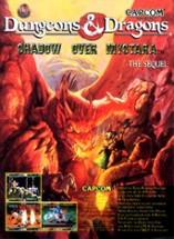 Dungeons & Dragons: Shadow over Mystara Image