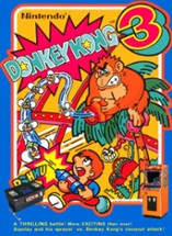 Donkey Kong 3 Image