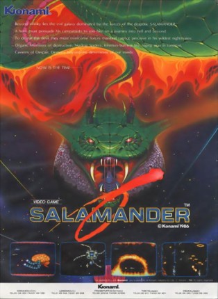 Salamander Game Cover