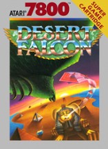 Desert Falcon Image