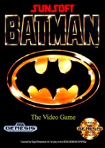 Batman: The Video Game Image