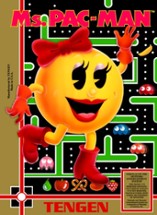 Ms. Pac-Man Image