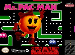 Ms. Pac-Man Image