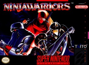 Ninja Warriors Image