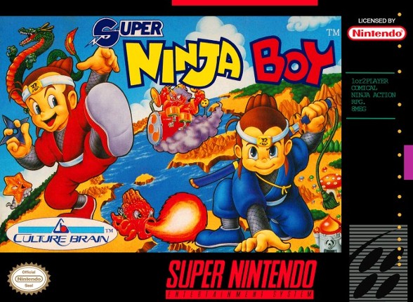 Super Ninja Boy Game Cover