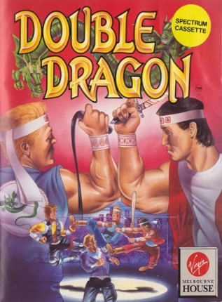 Double Dragon Game Cover