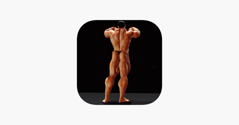 Iron Muscle Bodybuilding game Game Cover