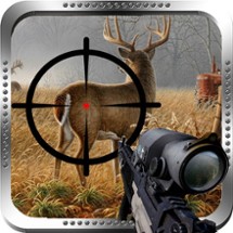 Deer Hunter Rapid Shooting Image