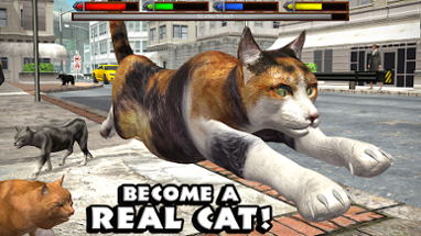 Ultimate Cat Simulator Image