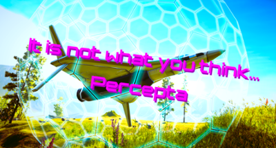 It is not what you think - Percepta Image