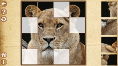 Animal puzzle - educational games for girls &amp; boys Image