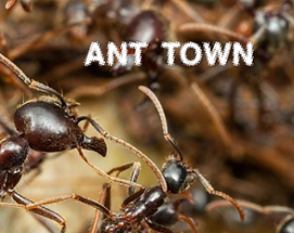 Ant Town Image