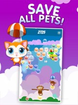 Pets Pop - Bubbles Popping Shooter Image