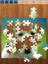 Animals Jigsaw Image