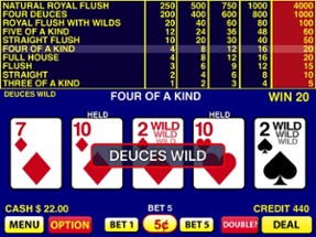 Deuces Wild Video Poker Image