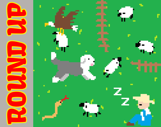 Round Up Game Cover
