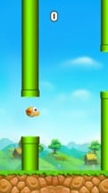 Super Flappy Adventure : Flying Bird Game Image