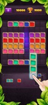 Block Jewel-Block Puzzle Games Image