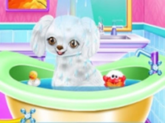 My New Poodle Friend - Pet Care Game Game Cover