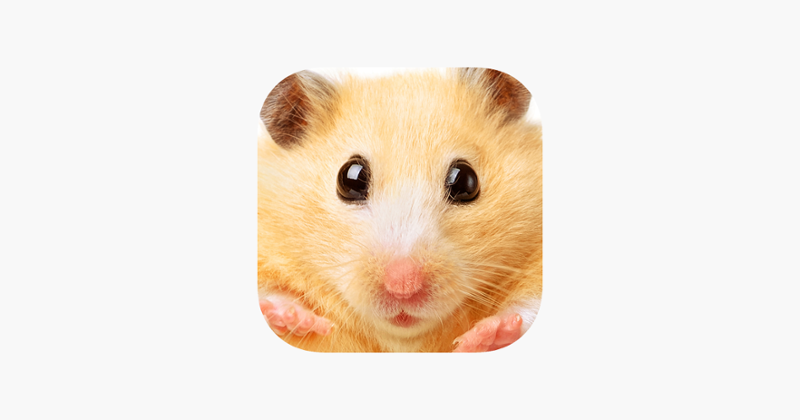 Hamster Jigsaw Puzzle Games Game Cover