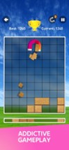 Slide Block Puzzle in Scapes Image