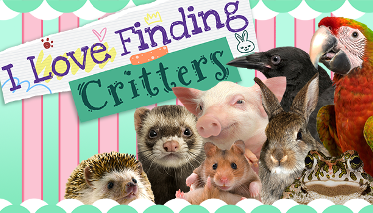 I Love Finding Critters Game Cover