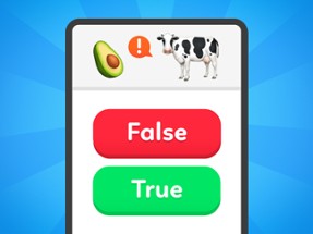 True False - Quiz Image