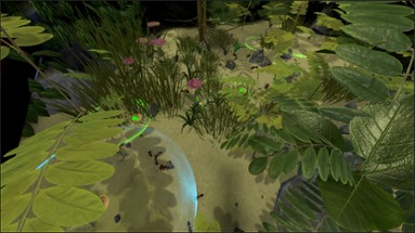 AntQueen 3D Image