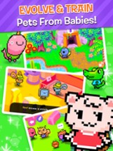 Pakka Pets Village Image