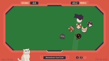 The Cat Games Image