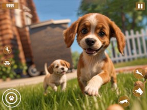 Dog Simulator Pet Puppy Animal Image