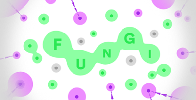 FUNGI Image
