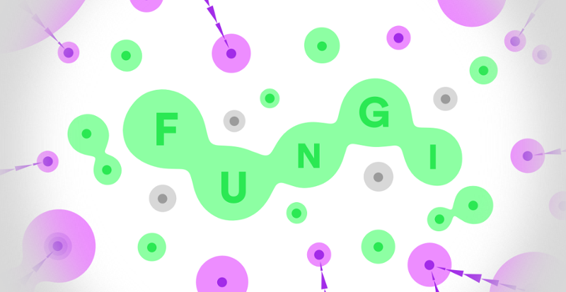 FUNGI Game Cover