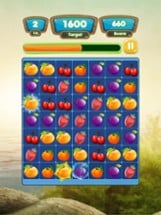 Fruits Blitz Image