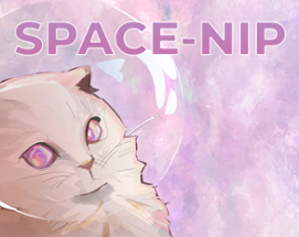SPACE-NIP Image