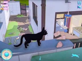 Little kitty Cat Sim Big City Image