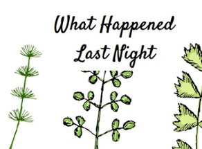 What Happened Last Night? Image