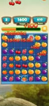 Fruits Blitz Image