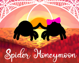 Spider Honeymoon Image