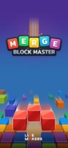 Merge Block Master Image